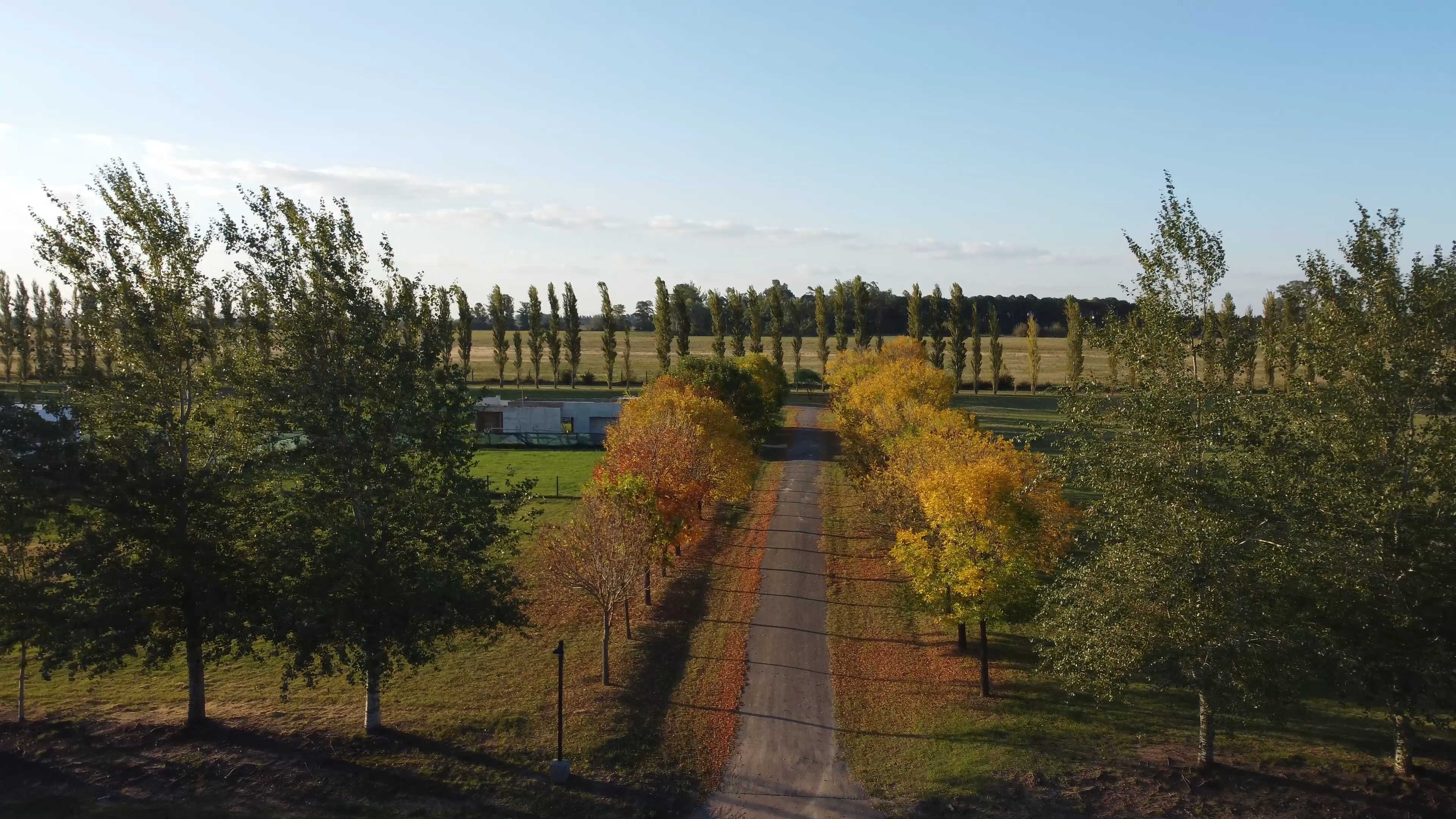 Haras de Funes